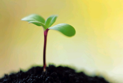 土壤養(yǎng)分檢測(cè)儀可以幫助農(nóng)民實(shí)現(xiàn)精準(zhǔn)施肥