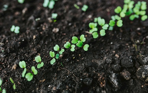 應(yīng)用土壤重金屬檢測(cè)儀高精度快速檢測(cè)土壤重金屬