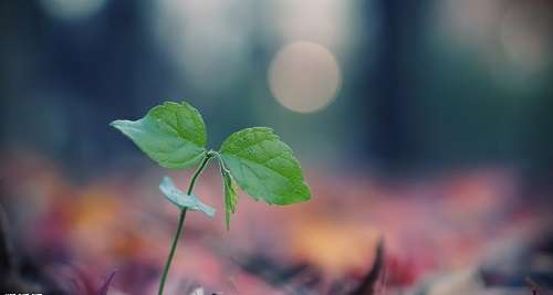 土壤硬度計(jì)作用，小小儀器作用大