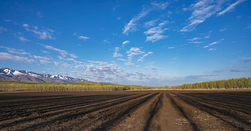 精細(xì)化農(nóng)業(yè)發(fā)展過程中，土壤肥料養(yǎng)分速測(cè)儀必不可少