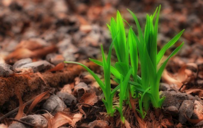 土壤養(yǎng)分檢測儀的應(yīng)用指導(dǎo)施思路“對(duì)癥下藥”