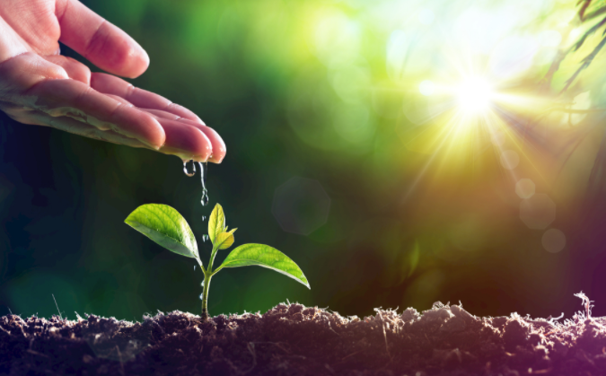 土壤養(yǎng)分測定儀注意事項(xiàng)（土壤肥料養(yǎng)分檢測儀操作需注意哪些問題？）