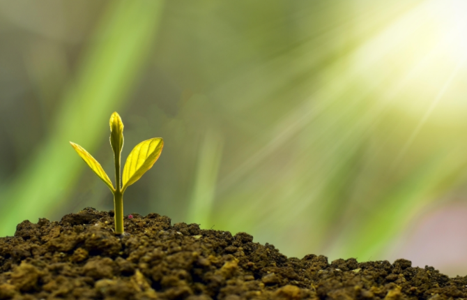 土壤水勢儀是什么？土壤水勢儀可應(yīng)用于哪些領(lǐng)域？