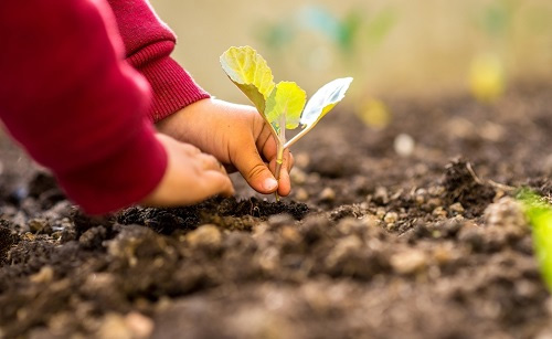 應(yīng)用土壤水分測定儀科學(xué)監(jiān)測土壤含水量