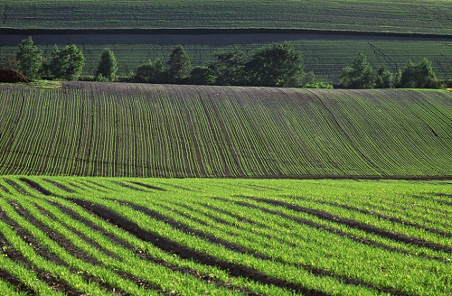 土壤墑情測試儀為抗旱防澇提供數(shù)據(jù)基礎(chǔ)