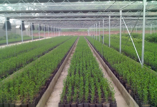 有機(jī)蔬菜種植配備測土儀器的必要性