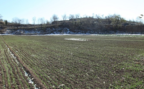 土壤水分檢測儀：預(yù)防春季干旱