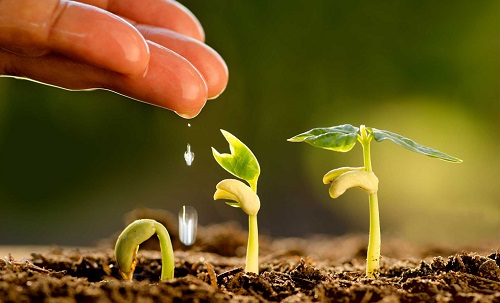 土壤水分測定儀：幫助農(nóng)業(yè)新手提升成活率