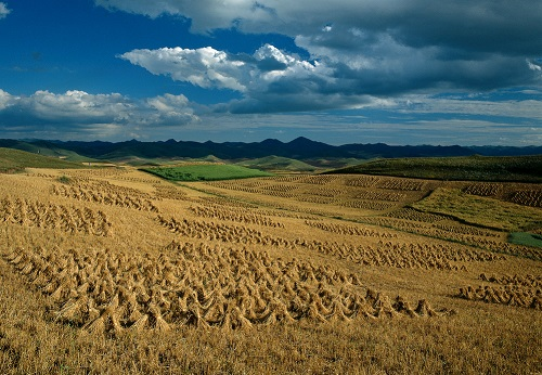 土壤養(yǎng)分快速測試儀為土壤減負(fù)，制作合理的農(nóng)業(yè)科學(xué)施肥方案