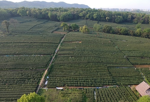 肥料不是越多越，利用測土儀提高化肥利用率