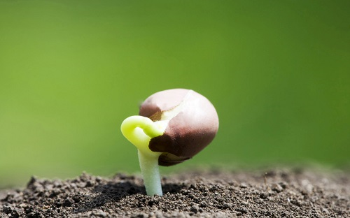 土壤肥料檢測儀指導(dǎo)科學(xué)施肥越來越有必要，讓農(nóng)業(yè)節(jié)本更增效