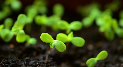 土壤墑情監(jiān)測(cè)系統(tǒng)讓土壤墑情掌握十分簡(jiǎn)單