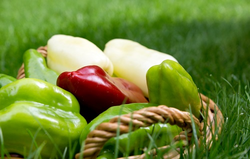 土壤肥料養(yǎng)分速測(cè)儀是保證蔬菜口感好、營(yíng)養(yǎng)高的重要工具