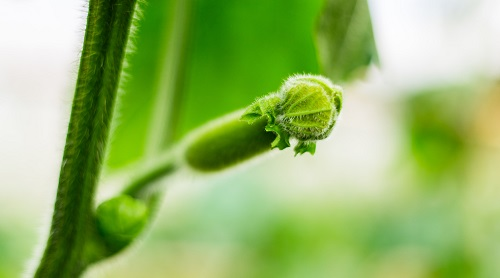 土壤水分溫度測定儀：掌握土壤水分溫度很關(guān)鍵