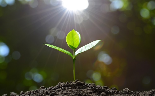 土壤水分測(cè)定儀在灌溉中起到的關(guān)鍵作用