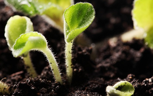 土壤墑情監(jiān)測系統(tǒng)的設(shè)計(jì)符合國情