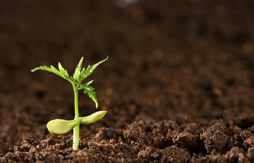 土壤墑情的概念到底是什么概念？土壤墑情的測(cè)定方法