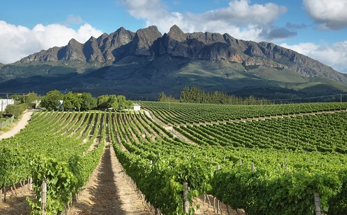 指導(dǎo)施肥，如何選擇一臺(tái)較為合適的土壤肥料養(yǎng)分速測(cè)儀？