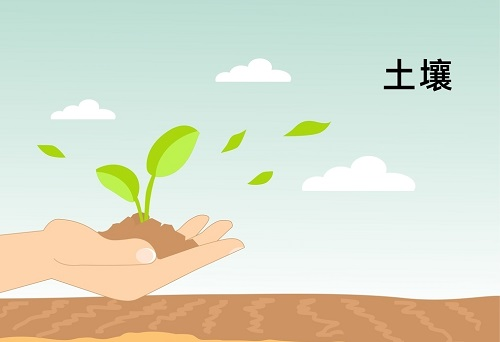 土壤墑情監(jiān)測系統(tǒng)在精細(xì)農(nóng)業(yè)發(fā)展中扮演著什么角色