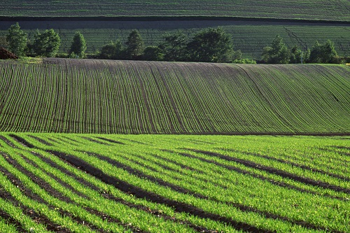 “作測(cè)定，降風(fēng)險(xiǎn)”——土壤pH測(cè)定儀的應(yīng)用意義