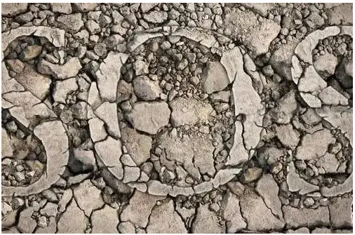 土壤重金屬快速檢測(cè)儀可為土壤貼上安全標(biāo)簽，衡量土壤健康程度