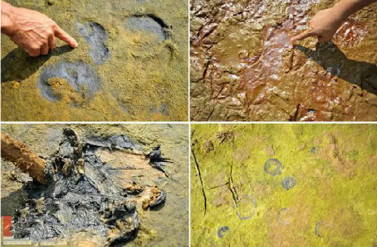 土壤測(cè)試儀器開啟了土壤被溫柔以待的曙光