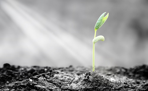 土壤原位EC計(jì)讓農(nóng)戶找準(zhǔn)問題，針對(duì)性解決問題