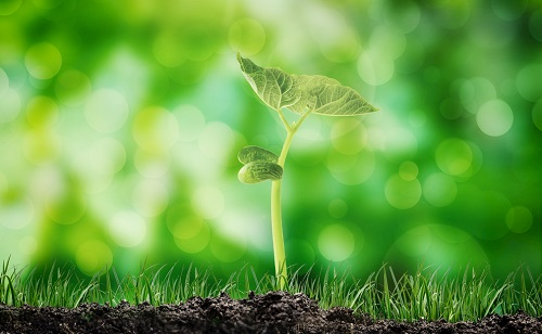 土壤養(yǎng)分測(cè)試儀掌握土壤養(yǎng)分豐缺指標(biāo)（土壤養(yǎng)分測(cè)試儀主要用在哪些地方？）