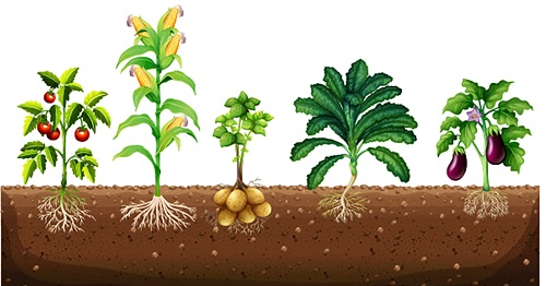 為什么要使用土壤水勢(shì)儀測(cè)量土壤水勢(shì)?（土壤水勢(shì)儀的重要性）