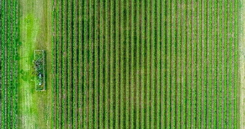 什么是土壤團(tuán)粒結(jié)構(gòu)？土壤團(tuán)粒結(jié)構(gòu)分析儀幫你分析