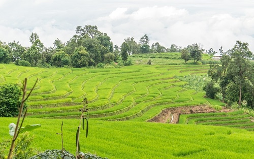 土壤墑情監(jiān)測(cè)系統(tǒng)使土壤墑情監(jiān)測(cè)工作邁向自動(dòng)化