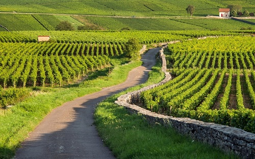 智慧農(nóng)業(yè)必備，土壤墑情監(jiān)測系統(tǒng)監(jiān)測土壤墑情的三大優(yōu)勢