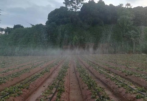 分享-土壤水分測定儀的使用注意事項