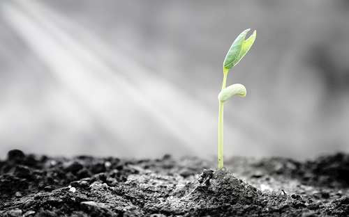 一文帶你快速了解土壤分析儀的功能特點