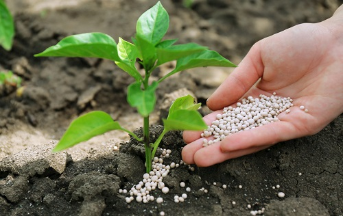 土壤養(yǎng)分測試儀對提高土壤肥力的重要幫助是什么？