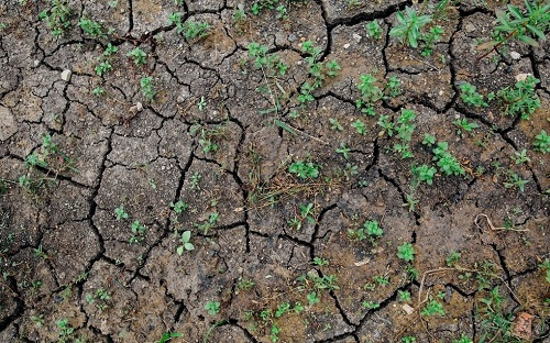 什么是土壤團(tuán)粒結(jié)構(gòu)，土壤團(tuán)粒結(jié)構(gòu)分析儀來(lái)分析