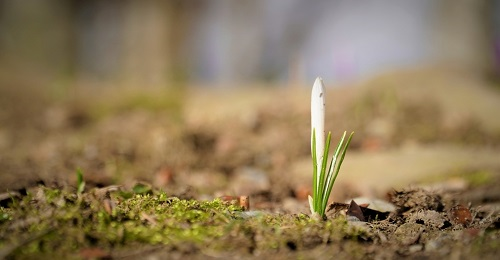 土壤團(tuán)粒結(jié)構(gòu)分析儀：農(nóng)業(yè)豐產(chǎn)穩(wěn)產(chǎn)的技術(shù)保障