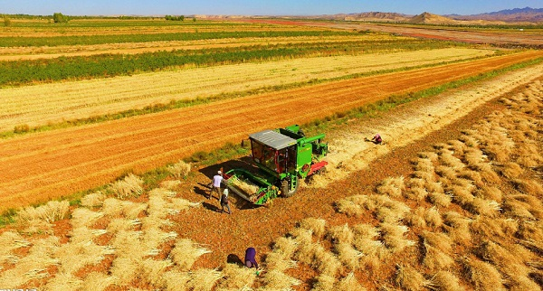 土壤養(yǎng)分檢測儀正確使用流程是什么？（僅需5步）