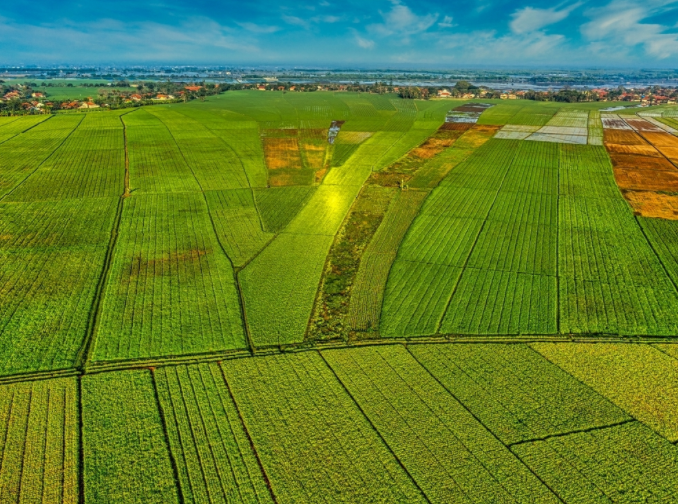 測土儀科學(xué)辨別土壤”肥瘦，測土配方，施肥有方