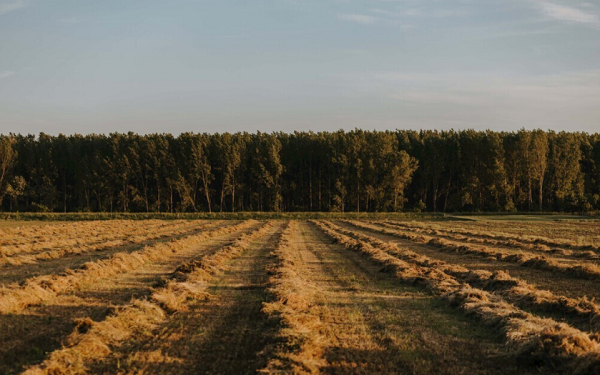 便攜式土壤重金屬檢測儀適應于什么范圍？土壤重金屬檢測儀的應用
