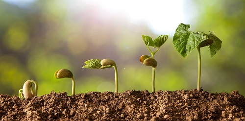 提升耕地質(zhì)量需要測(cè)土配方施肥儀--高智能土壤養(yǎng)分速測(cè)儀