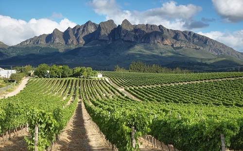 土壤養(yǎng)分檢測(cè)儀使用的必要性