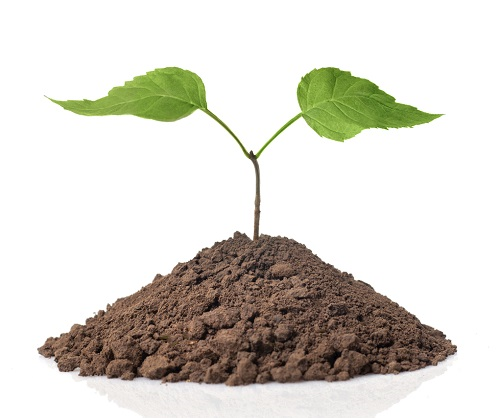 土壤養(yǎng)分檢測(cè)儀--打造健康土壤狀態(tài)