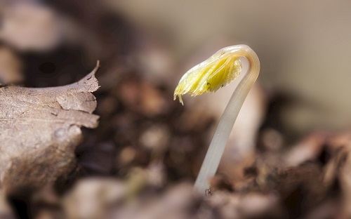 土壤改良新寵兒-土壤團(tuán)粒分析儀 LD-TRTL 助力構(gòu)建健康疏松耕層