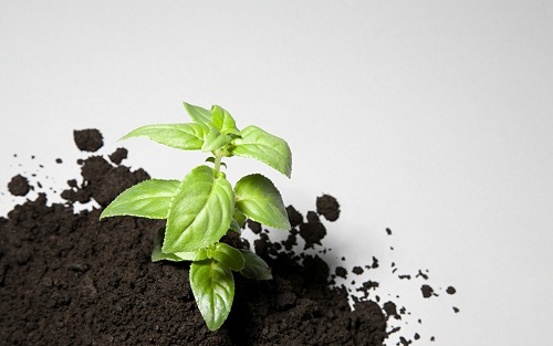 為啥測(cè)土配方施肥儀在農(nóng)業(yè)中不可替代？因?yàn)樗兴膬?yōu)勢(shì)