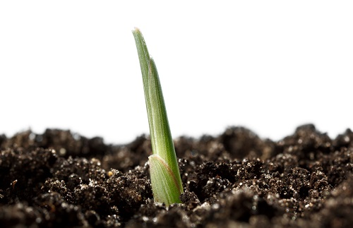 缺什么？補(bǔ)什么？測土配方施肥儀讓作物施肥有據(jù)可循