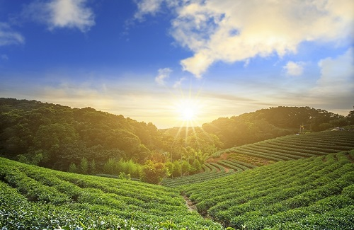 土壤成分分析儀指導(dǎo)精準(zhǔn)農(nóng)業(yè)肥力管理，推進(jìn)現(xiàn)代農(nóng)業(yè)