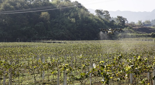 應(yīng)用土壤重金屬檢測(cè)儀檢測(cè)土壤中的重金屬含量