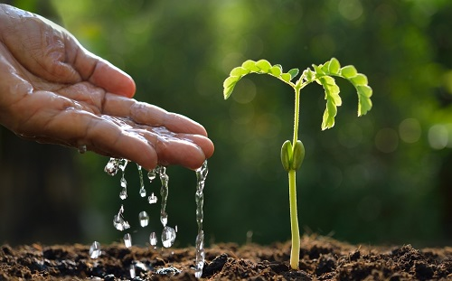 土壤墑情監(jiān)測(cè)儀：精準(zhǔn)灌溉科技的又一成果