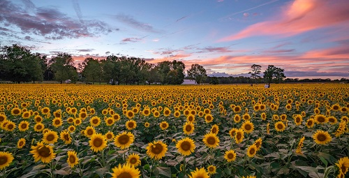 逐一介紹---多通道土壤養(yǎng)分測試儀的應(yīng)用群體有哪些？